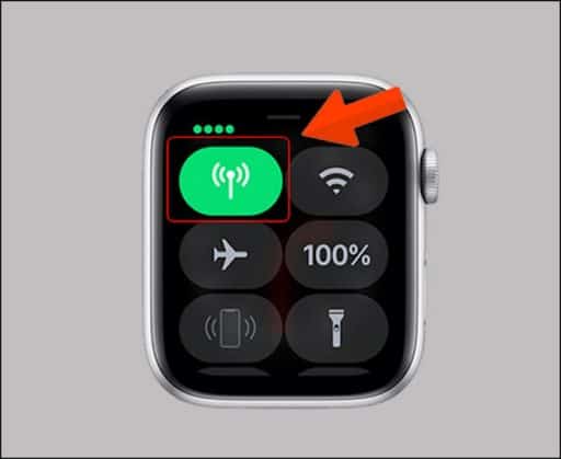 Cài đặt eSIM trên Apple Watch gigago