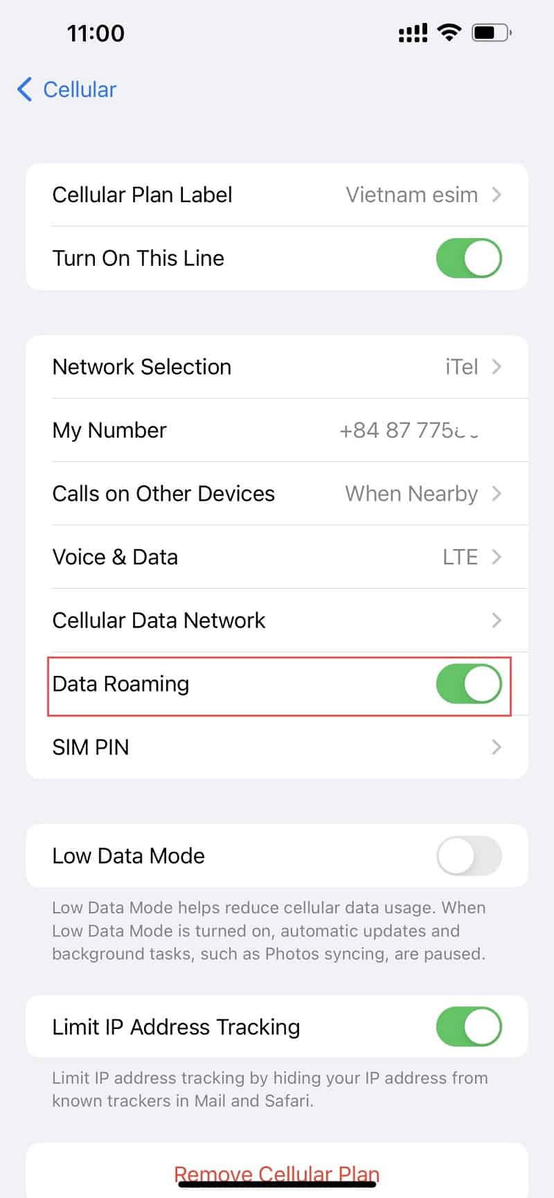 Bật eSIM và Data roaming