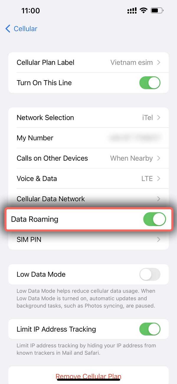 Bật eSIM và Data roaming