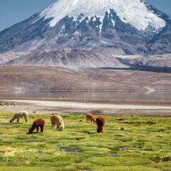 eSIM du lịch Chile Gigago