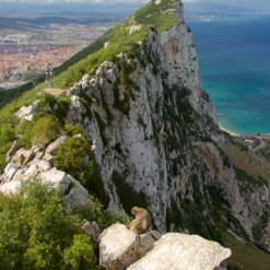 esim du lịch Gibraltar gigago