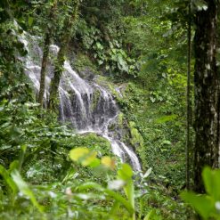 eSIM du lịch Suriname