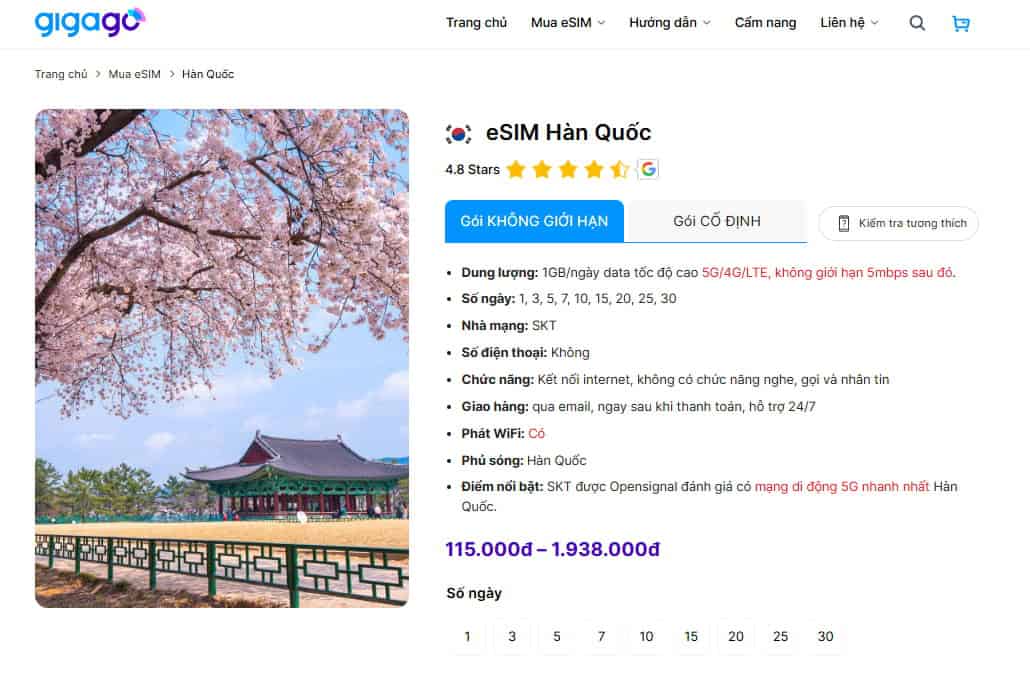 Sử dụng eSIM từ Gigago để giữ kết nối ổn định tại Hàn Quốc